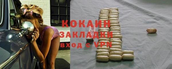 шишки Вяземский
