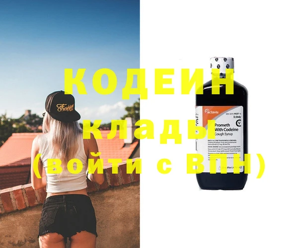 индика Вязники
