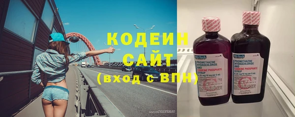 индика Вязники