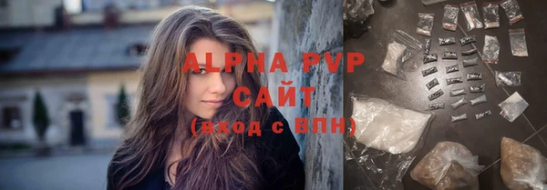гашик Горняк