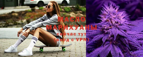 индика Вязники
