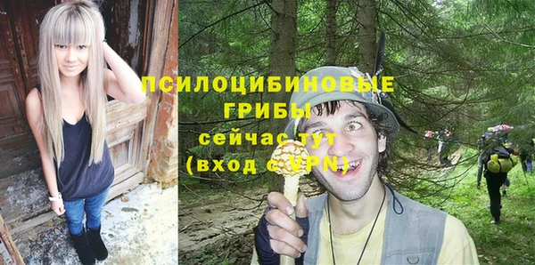 шишки Вяземский