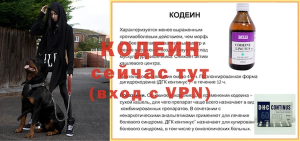 шишки Вяземский