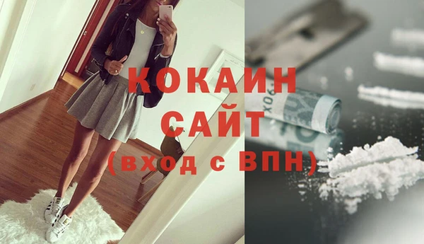 индика Вязники