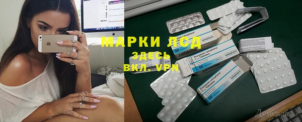 индика Вязники