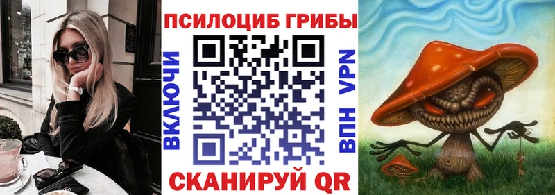 Псилоцибиновые грибы ЛСД hydra как войти shop как зайти где можно купить наркотик Ессентукская
