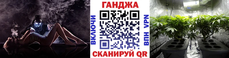 Каннабис планчик Ессентукская