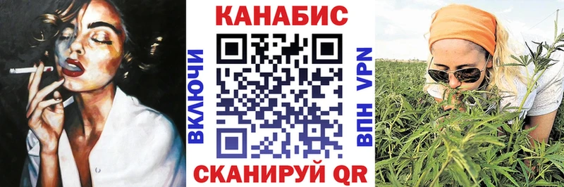 Каннабис конопля  Ессентукская 